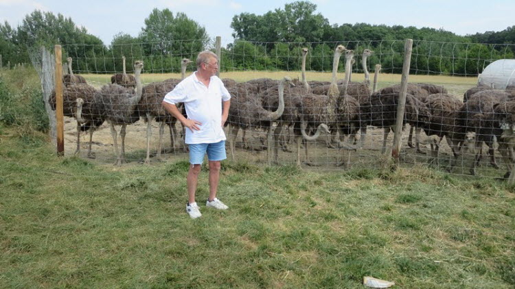 2018 Straussenfarm 04
